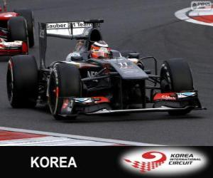 Puzzle Nico Hülkenberg - Sauber - Κορέα διεθνές κύκλωμα, 2013
